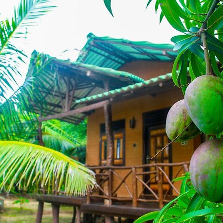 Yalaway Nature Villa Тиссамахарама Экстерьер фото