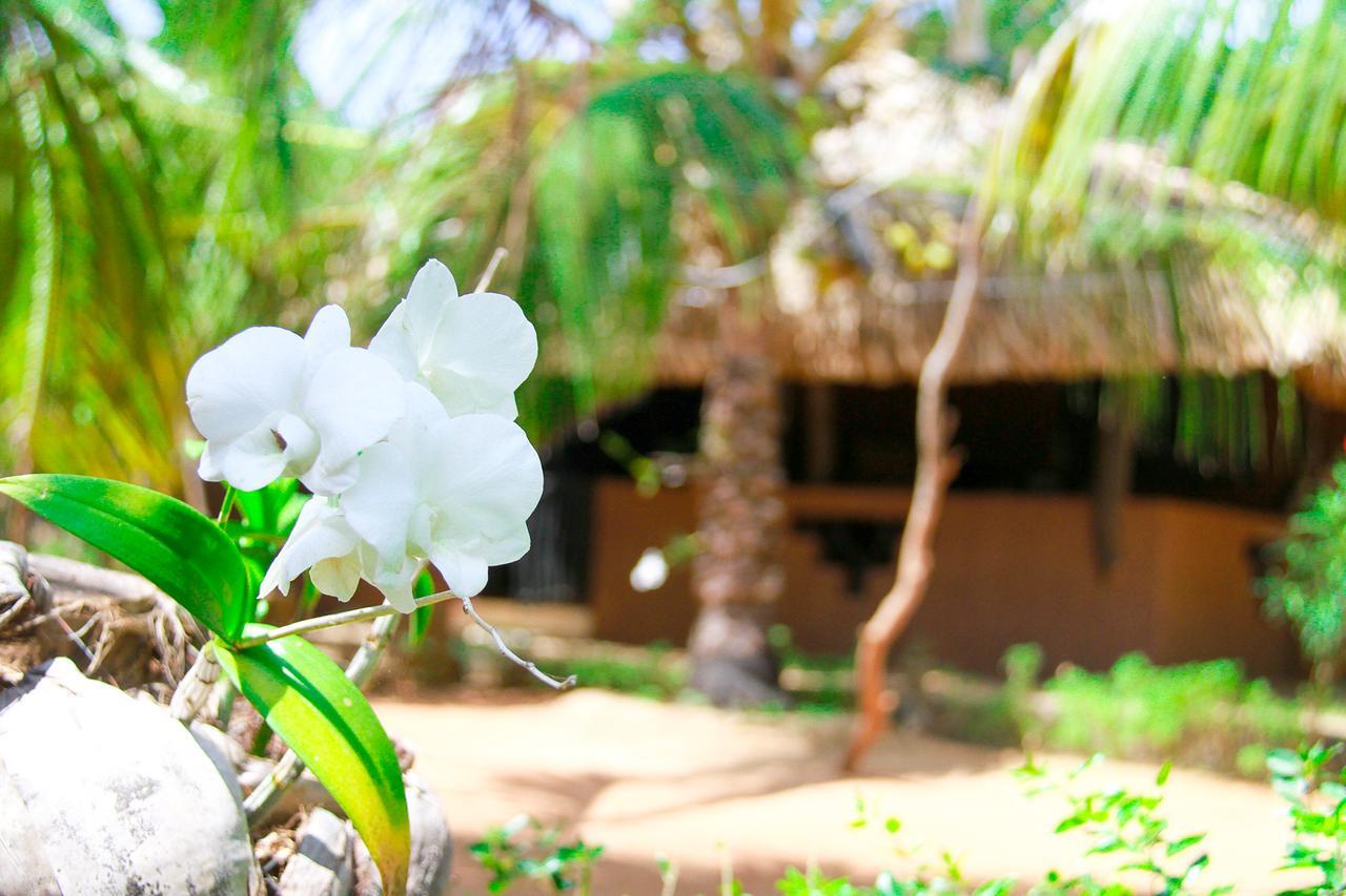 Yalaway Nature Villa Тиссамахарама Экстерьер фото